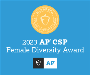 AP CSP Diversity